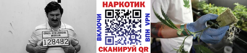 Купить наркотики сайты Алейск Канабис  ЭКСТАЗИ  Амфетамин  ГАШ  Кокаин 