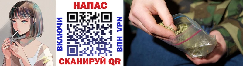блэк спрут онион  Алейск  Конопля марихуана 